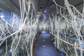 Futuristic space with glass walls and white abstract branches that create a modern, technical