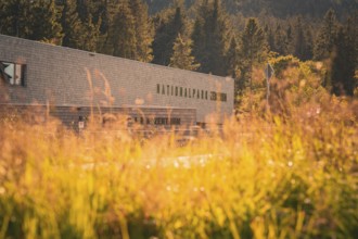 National Park Center building in front of autumn forest in sunlight, Ruhestein National Park