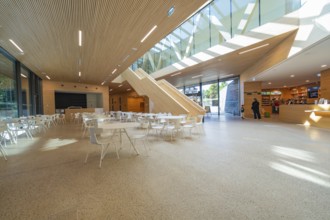 Bright interior with wood and glass elements, modern design with cafeteria, Ruhestein National Park