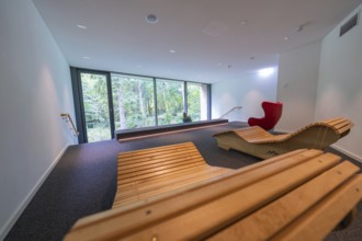 Modern room with wooden loungers and a wide view of a green forest through large glass windows,