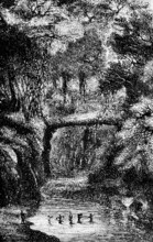 Expedition crosses the Luangwa River, tropics, dense vegetation, indigenous people, trees, humid