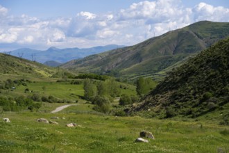 Mountainous valley with green meadow under a blue sky with clouds and power lines, landscape from