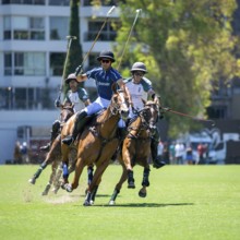 Scene at the 132nd Argentinean Open Polo Championship (Spanish 132nd Abierto Argentino de Polo de