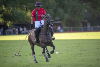 Portrait of polo player Francisco Elizalde from the La Irenita La Hache team at the 132nd Argentine