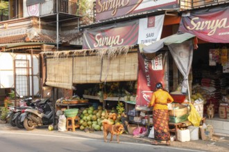 Fruits in front of a shop, Bali, Indonesia