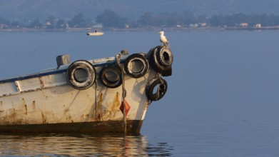 Nauplion Harbour, Old boat with a seagull on calm water against a mountainous backdrop, Nauplion,
