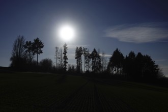 The sun shines from above through a wooded area in Hesse. The gaps between the silhouettes of the
