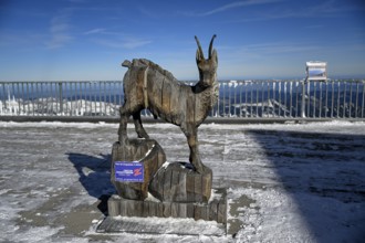Wooden chamois at the mountain station of the Zugspitz cable car, Austrian side, municipality of