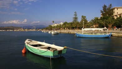 Wooden boats on calm water with palm trees in the background, Nauplion, Nafplion, Peloponnese,