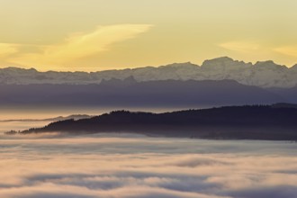 View from the Gisiflue over the sea of fog, with the snow-covered Glarner Alps in the morning