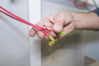 Close-up of a hand holding red and green-marked cables