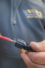 Electrician sitting with cable plug in hand, focus on connecting cable