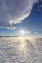 Desolate windswept snow covered Arctic landscape at Mohnbukta, bay at the western shore of