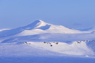 Snow covered mountain in Arctic landscape at Mohnbukta, bay at the western shore of Storfjorden in