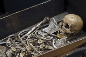 Monk's skeleton at museum of Abbey of the Dunes, Abdij Ten Duinen, Cistercian monastery at