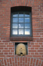 Beehive under an industrial window, Hanseatic City of Lübeck, Schleswig-Holstein, Germany