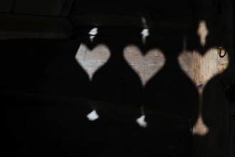 Shadows of a balustrade, Maihaugen open-air museum with houses and objects from farms in