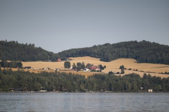 Fields, forest and farms at Lake Mjøsa, Innlandet County, Norway