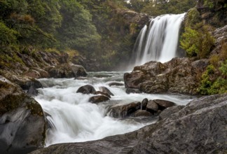 Tawhai Falls Waterfall (Gollum's Pool) . Where the Lord of the Rings film trilogies was filmed.