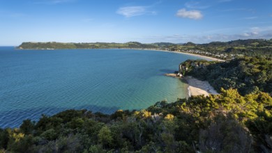 Landscape with sea and sandy beach in New Zealand. View of Lonely Bay and Cooks Beach from