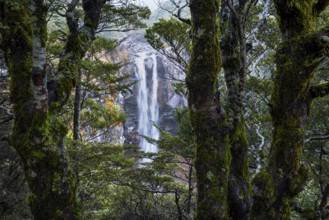 Mangawhero Falls waterfall. Where the Lord of the Rings film trilogies was filmed. Long exposure,