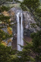 Mangawhero Falls waterfall. Where the Lord of the Rings film trilogies was filmed. Long exposure,