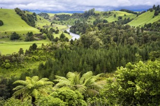 New Zealand landscape. View of the Whanganui River valley from Piriaka Lookout. Piriaka, Ruapehu