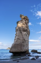 Limestone cliffs near Cathedral Cove in New Zealand. Cathedral Cove, Hahei, Coromandel Peninsula,