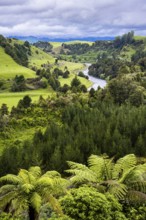 New Zealand landscape. View of the Whanganui River valley from Piriaka Lookout. Piriaka, Ruapehu