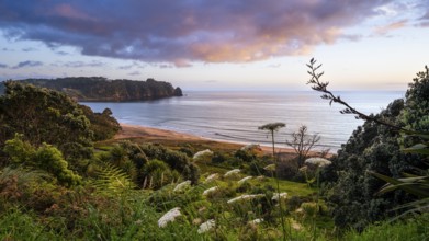 Landscape with sea and sandy beach in New Zealand. View of Hot Water Beach in the morning at