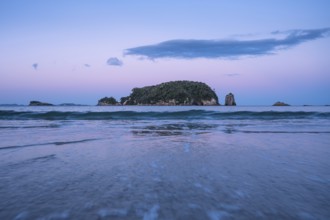 Landscape with sea, rocks and sandy beach in New Zealand. Hahei Beach in the evening after sunset