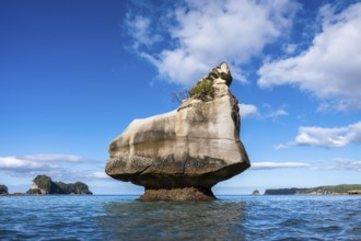 Cathedral Cove in New Zealand. Sea, sandy beach and limestone cliffs. The Smiling Sphinx rock.