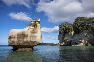 Cathedral Cove in New Zealand. Sea, sandy beach and limestone cliffs. On the left, the Smiling