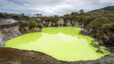 Roto Karikitea, a crater in the Waiotapu (Wai-O-Tapu) geothermal area, filled with green water from