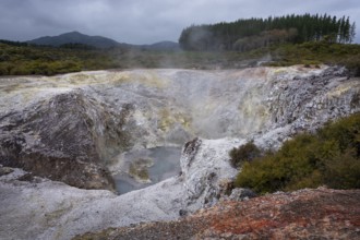 Rua Owhanga, a collapsed crater in the Waiotapu (Wai-O-Tapu) geothermal area. Waiotapu, Waikato,