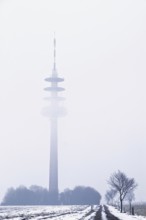 A television tower in fog rises above a snow-covered landscape, Schöppinger Berg, Münsterland,