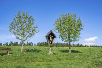 Wooden crucifix between two trees on a meadow in spring, Upper Palatinate, Bavaria, Germany