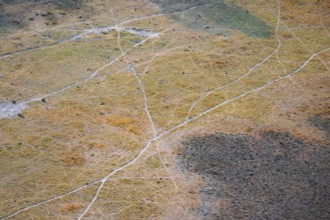 Paths, trails in the countryside, animal trails Aerial view of the Okavango Delta, near Maun,