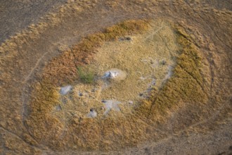 Termite hills in marshland, landscape, aerial view of the Okavango Delta, near Maun, Okavango