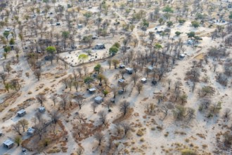 Settlement, simple house and fence, dry savanna landscape, near Maun, aerial view, Okavango Delta,