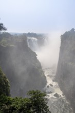 Water plunges into the depths, Victoria Falls with gorge and jungle, Zambezi, Zimbabwe