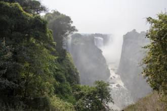 Water plunges into the depths, Victoria Falls with gorge and jungle, Zambezi, Zimbabwe