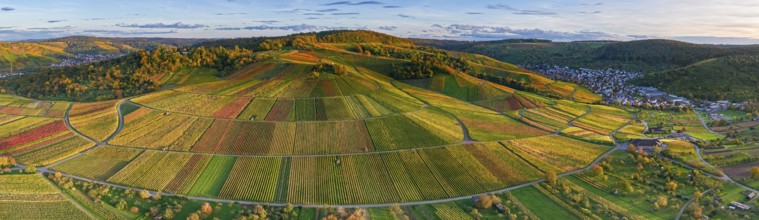 Extensive vineyard panorama in the evening sun with vivid autumn colors, autumn, near Strümpfelbach