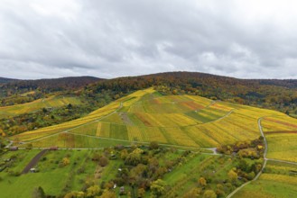 Autumn vineyards under cloudy skies with a variety of colors, autumn, near Strümpfelbach im