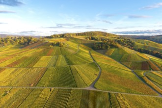 Painted landscape with vineyards and autumn tones under blue sky, autumn, near Strümpfelbach im