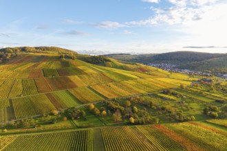 Sunlit vineyards and fields on rolling hills, autumn, near Strümpfelbach im Remstal,