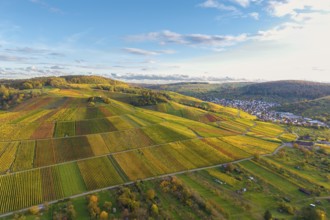 Green and golden fields on rolling hills in sunlight, autumn, near Strümpfelbach im Remstal,