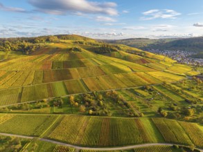 Colourful vineyards and fields stretch across the hills, autumn, near Strümpfelbach im Remstal,