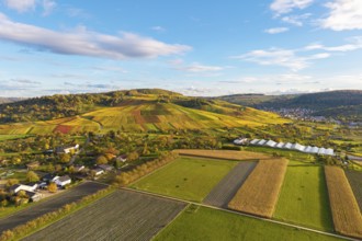 Multicolor landscape with vineyards and fields under blue sky, autumn, near Strümpfelbach im