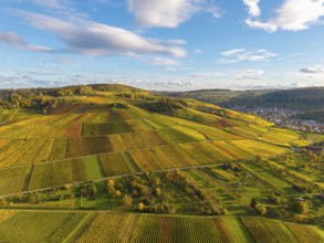 Hilly fields with colorful vineyards under a wide sky, autumn, near Strümpfelbach im Remstal,